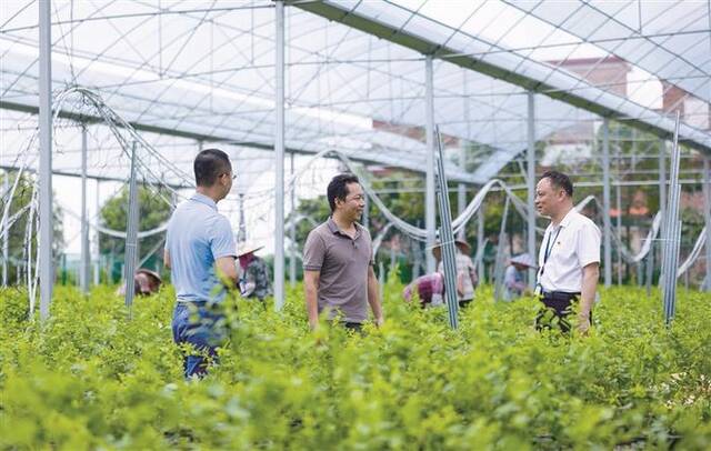 规范村集体“三资”管理