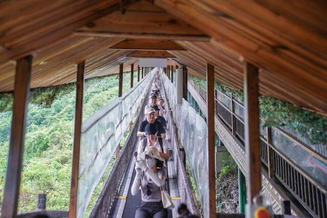 ▲德天跨国瀑布景区不少游客选择乘坐“飞天魔毯”上山观景图据ICphoto中新社记者陈冠言摄