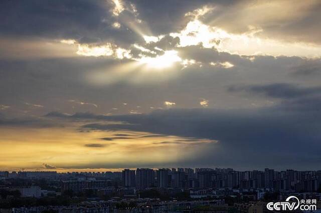 【8点见】星空有约：英仙座流星雨12日迎来极大