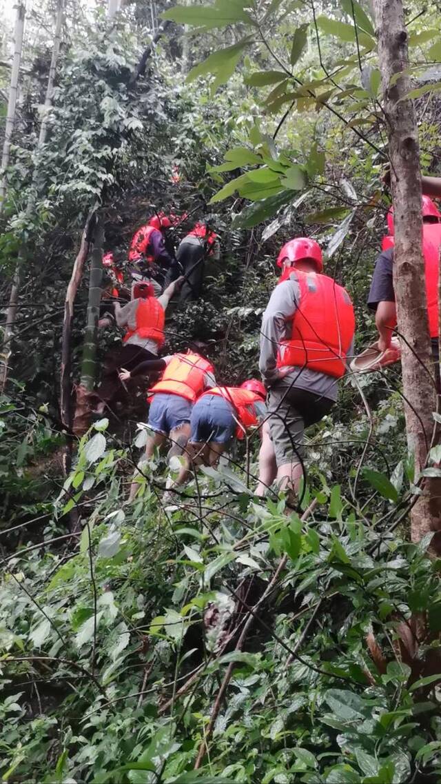 原始山林里没有路，游客们依次排开，拽着树枝往上爬，由于道路陡峭湿滑，很多人脱了鞋赤脚爬山。受访者供图