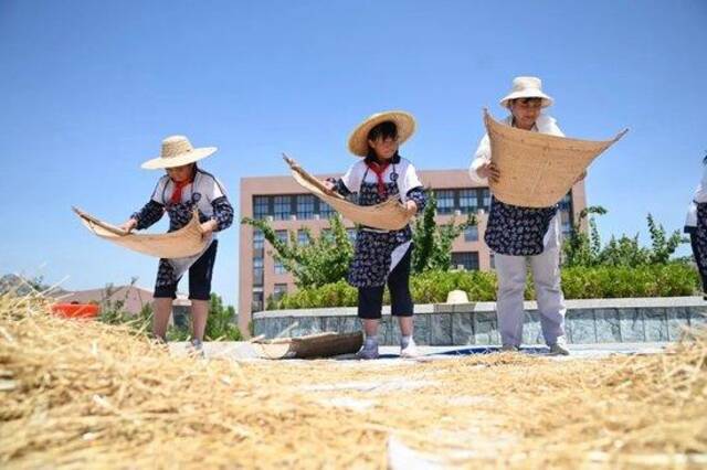 烟台市小学生参加劳动教育。资料图片