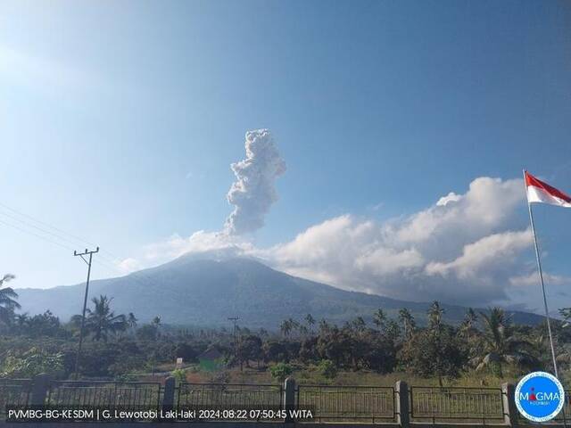 印尼勒沃托比火山喷发 火山灰柱达1000米