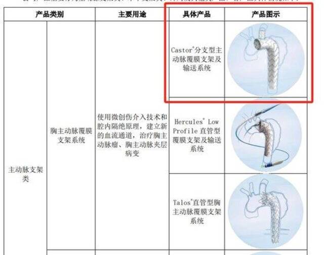 Castor支架产品图示来源：2023年财报