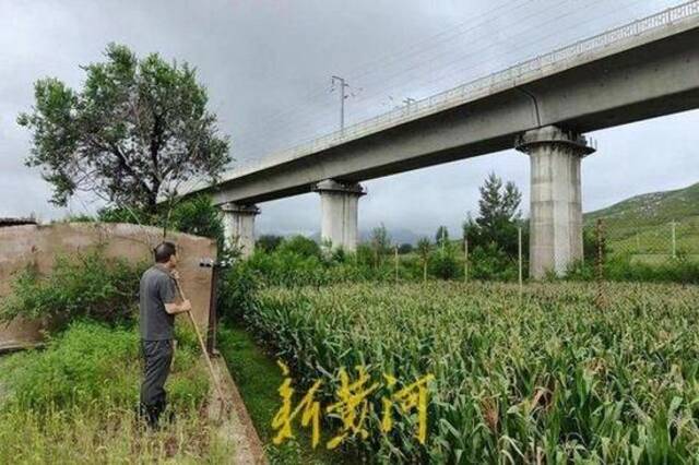 种猪场北侧约30米，就是后建起的京沈高铁