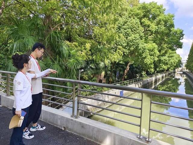 “贝碧嘉”将掀强风雨，上海全市防汛防台Ⅳ级响应启动