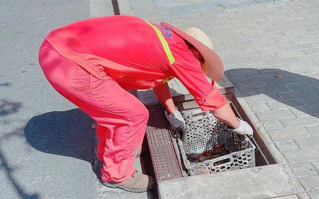 “贝碧嘉”将掀强风雨，上海全市防汛防台Ⅳ级响应启动