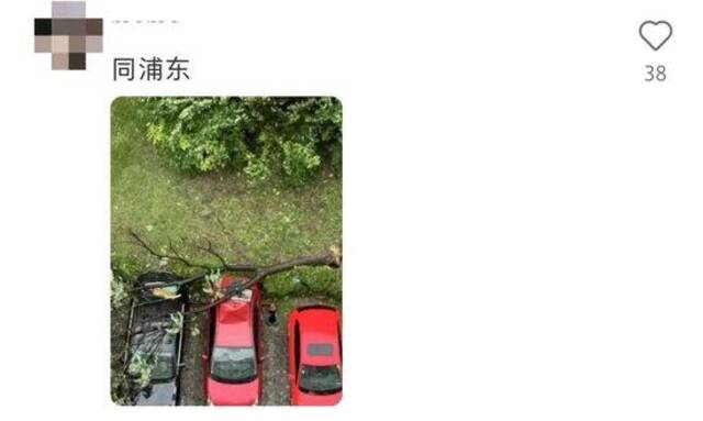 上海树倒了、电停了、高空坠物了？记者眼睛都被暴雨打肿了！直击“贝碧嘉”