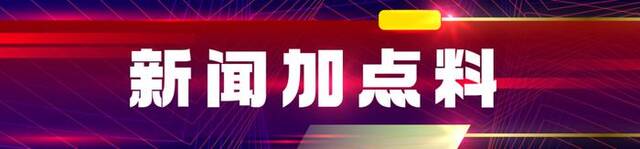 网传游客掉落手机砸到辛追夫人棺椁，湖南博物院回应