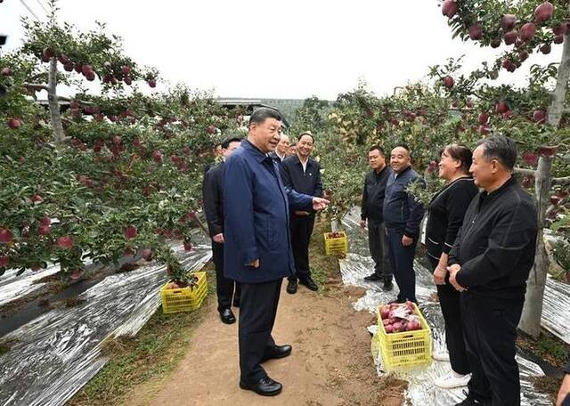 第一观察 | 从七年节日问候感悟总书记对“三农”的深情厚望