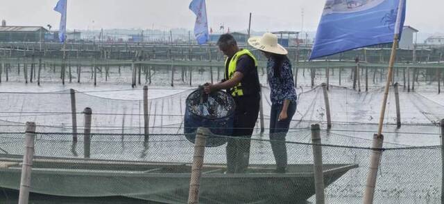 蟹农正在查看捕捞上来的阳澄湖大闸蟹。新京报记者王思炀摄