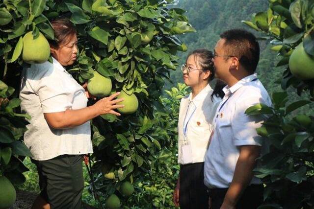 镜头 | 培养锻炼生力军