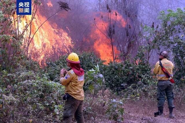 火情加剧 玻利维亚宣布东部多地进入“国家灾难状态”