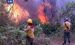 火情加剧 玻利维亚宣布东部多地进入“国家灾难状态”