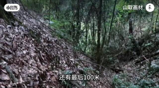 云南哀牢山：严禁擅自进保护区，违者最高罚5000元