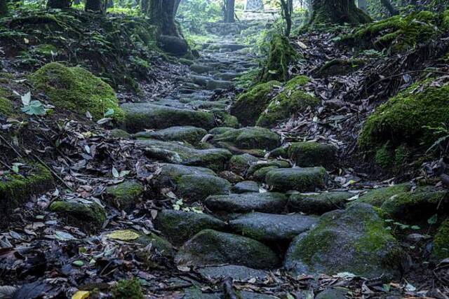 哀牢山茶马古道景区/图源自视觉中国