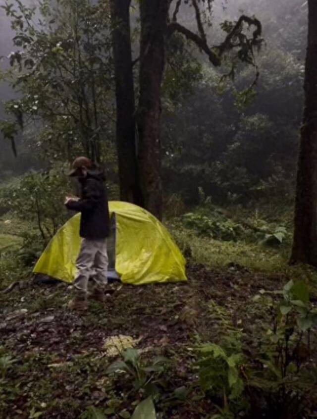 女博主露营哀牢山2天1夜，当事人道歉：确实进入了原始森林，没有破坏任何自然环境