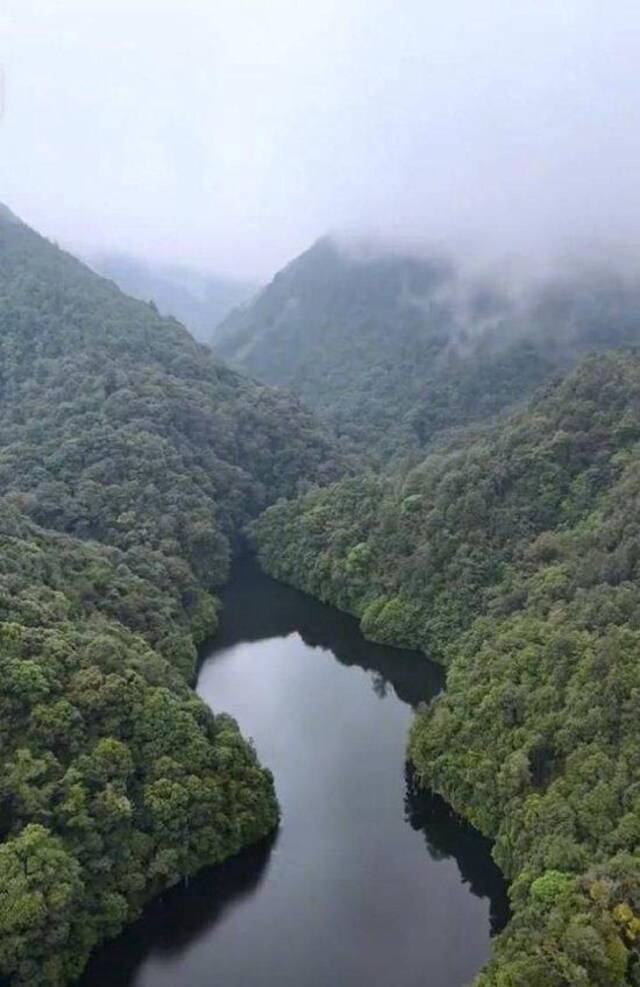 文旅博主李永存航拍视频中马鞍山水库尾部水域。视频截图