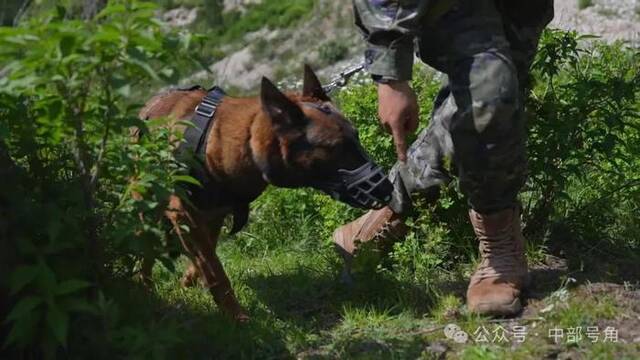 中部战区部队：练兵备战，一刻不停！