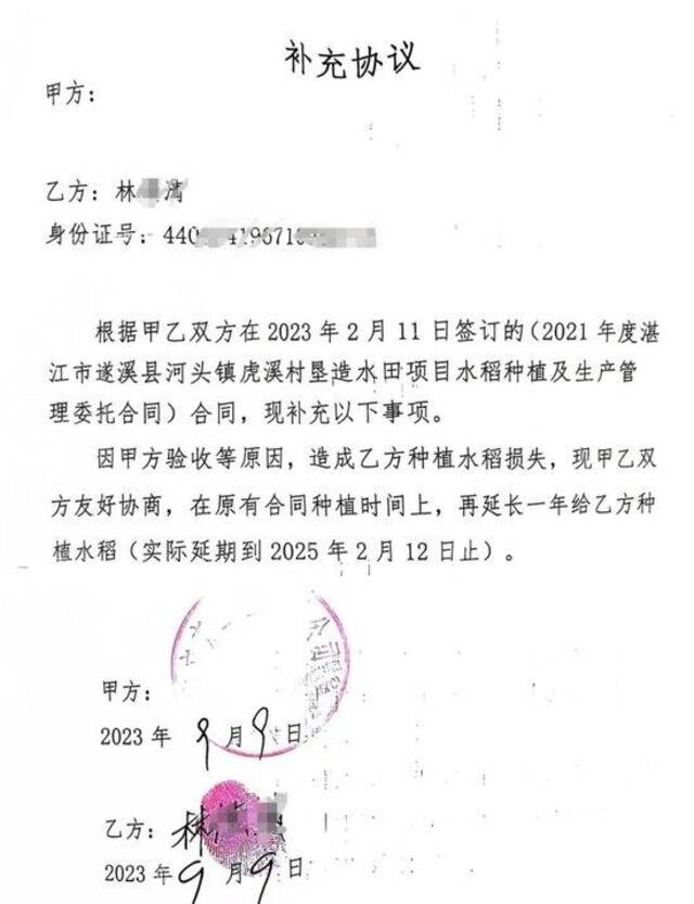 数十亩优质水稻因“权属”问题被毁，老农落泪：还有30天就能收割