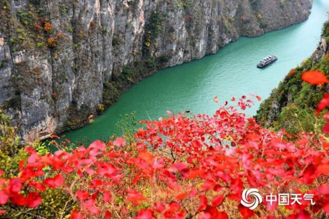 重庆巫山小三峡龙门峡红叶风光。（签约供稿人/视觉中国/版权图片来源视觉中国）