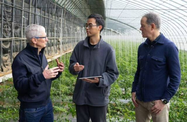 苹果库克和威廉姆斯首次同时到访中国，参观苹果式创新的最新实践“科技小院”项目