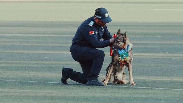 10月22日，即将退休的民警张志和功勋昆明犬“飞龙”入场。新华社记者任沁沁摄