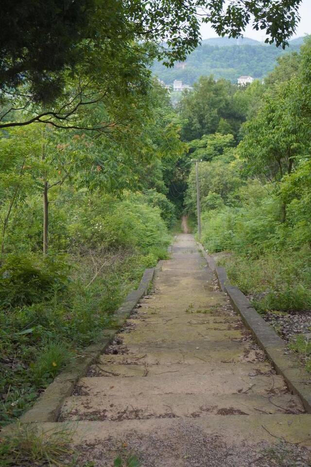 山下是张玲（化名）现在居住的地方，重获自由后，她常常走在这条小路上。新京报记者左琳摄