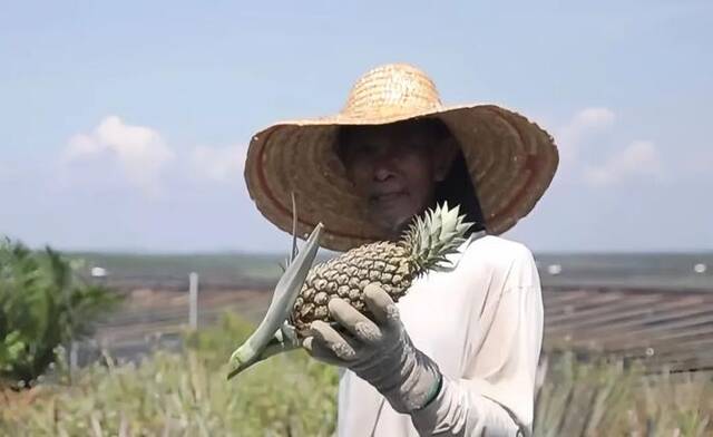 中广核马来西亚吉打太阳能电站