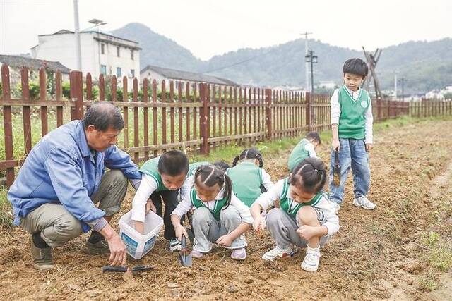 近日，参加研学游的浙江省诸暨市某幼儿园的孩子们在璜山镇溪北村的农田里学习种玉米。新华社记者徐昱摄