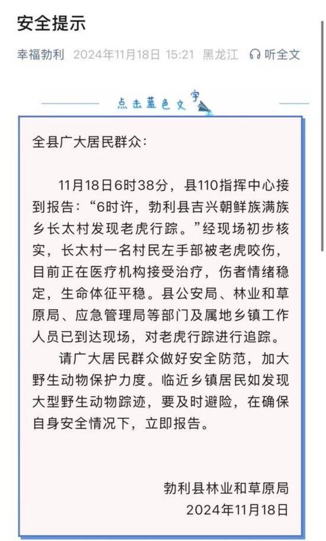 黑龙江勃利县老虎进村咬伤村民，官方正使用无人机红外仪等排查追踪